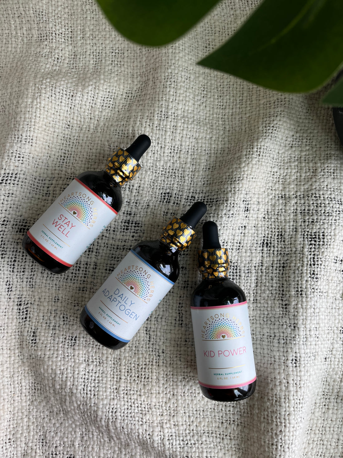 Drop by Drop: Why Tinctures Are Your New Wellness BFF