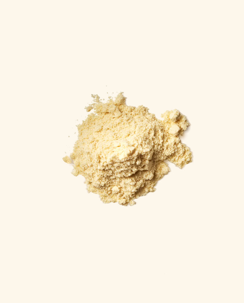 Whey Protein Isolate Powder - French Vanilla